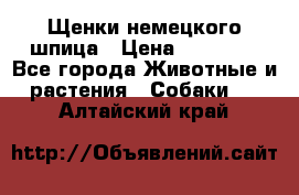 Щенки немецкого шпица › Цена ­ 20 000 - Все города Животные и растения » Собаки   . Алтайский край